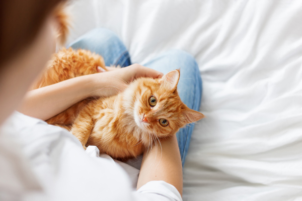Woman holding cat