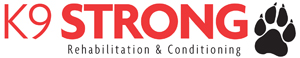 K9 Strong logo