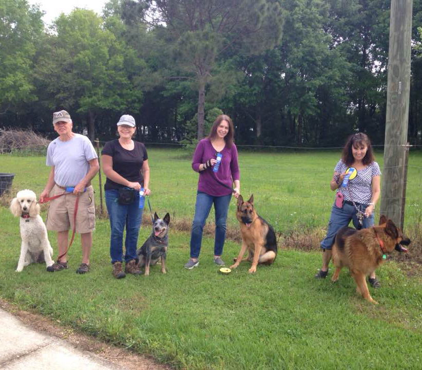 dog-training-classes-Baldwin-County-Alabama