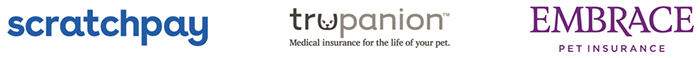 Actistem-Therapy-Pet-Insurance-Options