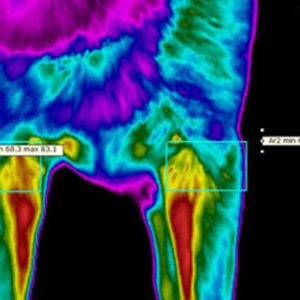 Dog-Digital-Thermal-Imaging-Sessions-1-K9-Strong