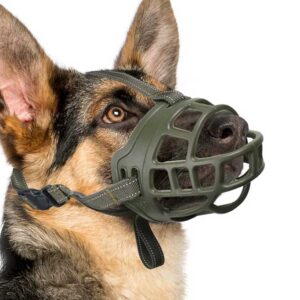 Dog-Muzzle-Training-K9-Strong