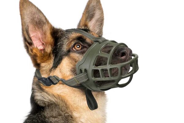 Dog-Muzzle-Training-K9-Strong
